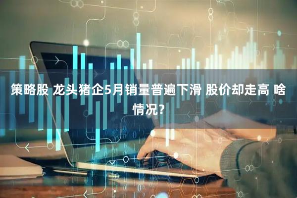策略股 龙头猪企5月销量普遍下滑 股价却走高 啥情况？