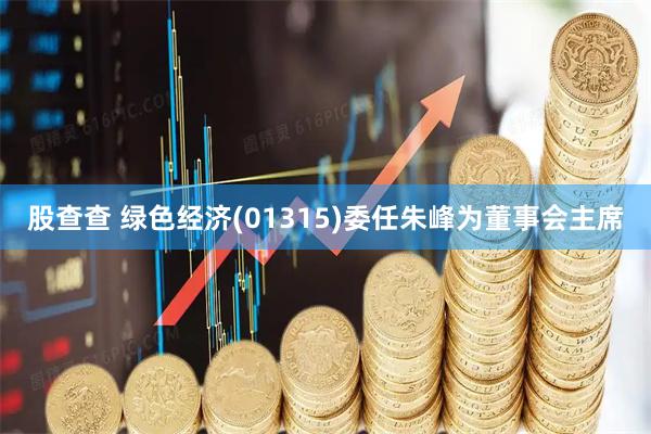 股查查 绿色经济(01315)委任朱峰为董事会主席