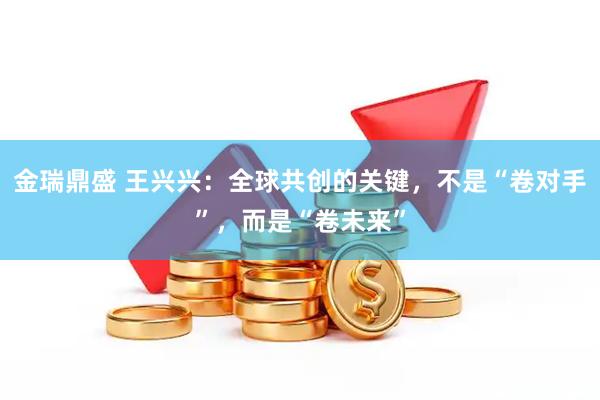 金瑞鼎盛 王兴兴:全球共创的关键,不是“卷对手”,而是“卷未来”