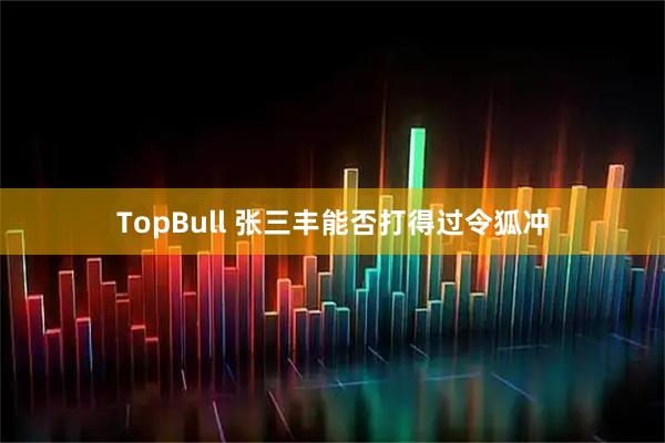 TopBull 张三丰能否打得过令狐冲